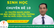 Video bài giảng: Di truyền ngoài nhân và ảnh hưởng của môi trường lên sự biểu hiện của Gen